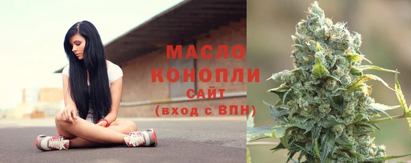 молекула духа Тихвин