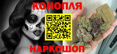 Альфа ПВП Аргун