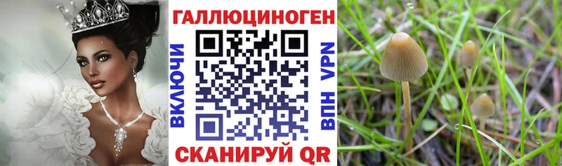 Галлюциногенные грибы MAGIC MUSHROOMS  маркетплейс наркотические препараты  Балашов  цена  